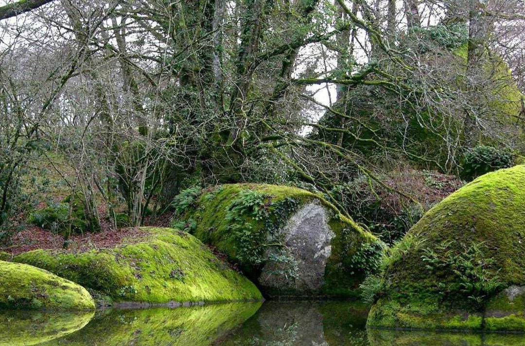 Etang de Bois Pouvreau et son chaos granitique景点图片