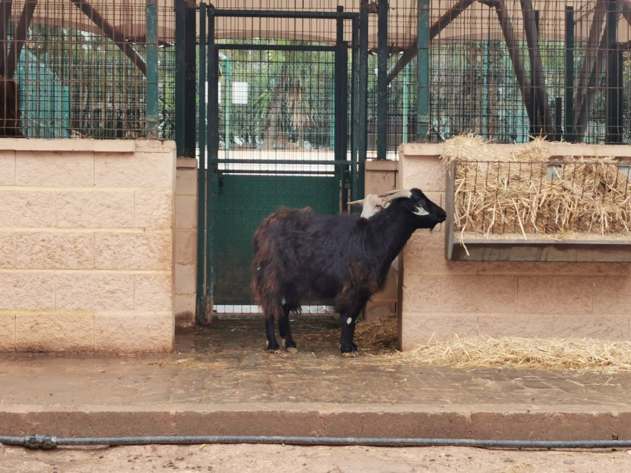 Granja Agrícola-梅利利亚必去景点