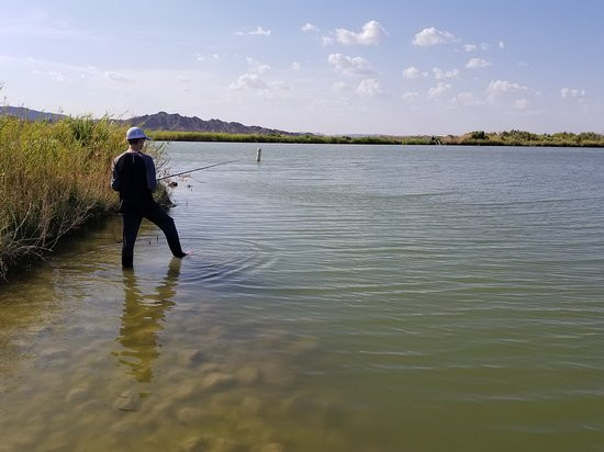 Mittry Lake Wildlife Area-尤马必去景点