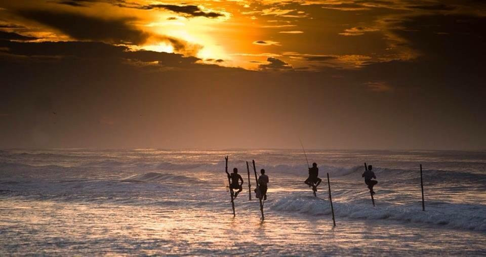Dream Lanka Tours景点图片