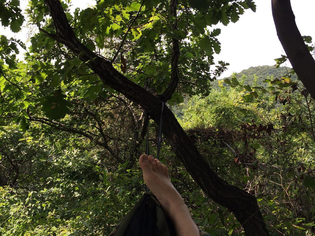 本溪湖公园-本溪市必去景点