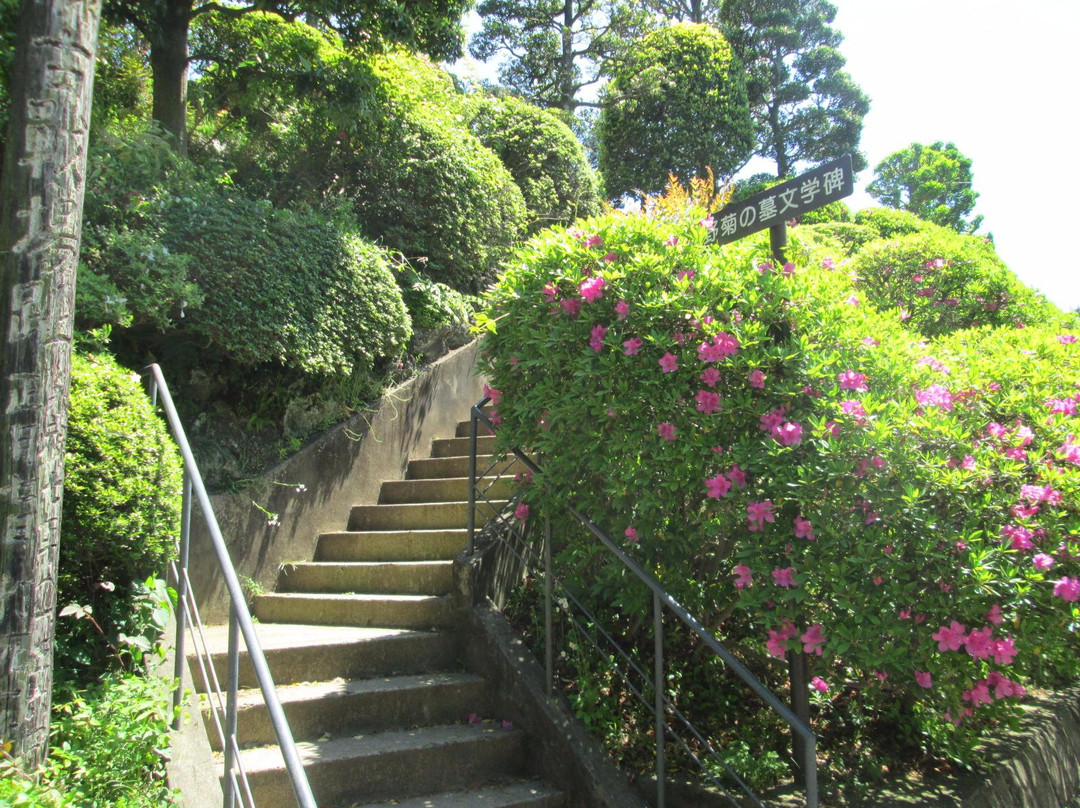 Nogiku No Haka Bungaku Hi