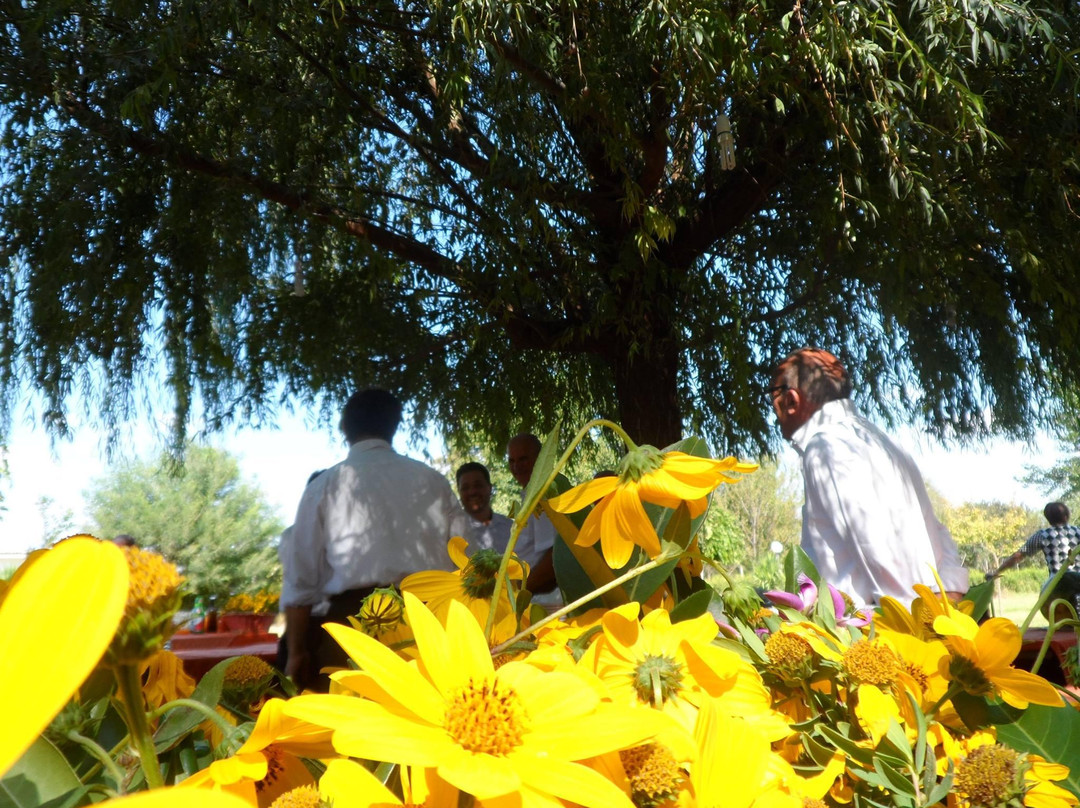 Agriturismo & Pizza Fertilya