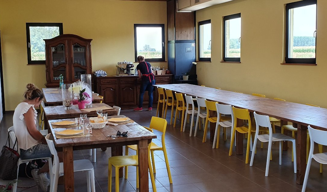 Agriturismo Il Contadino