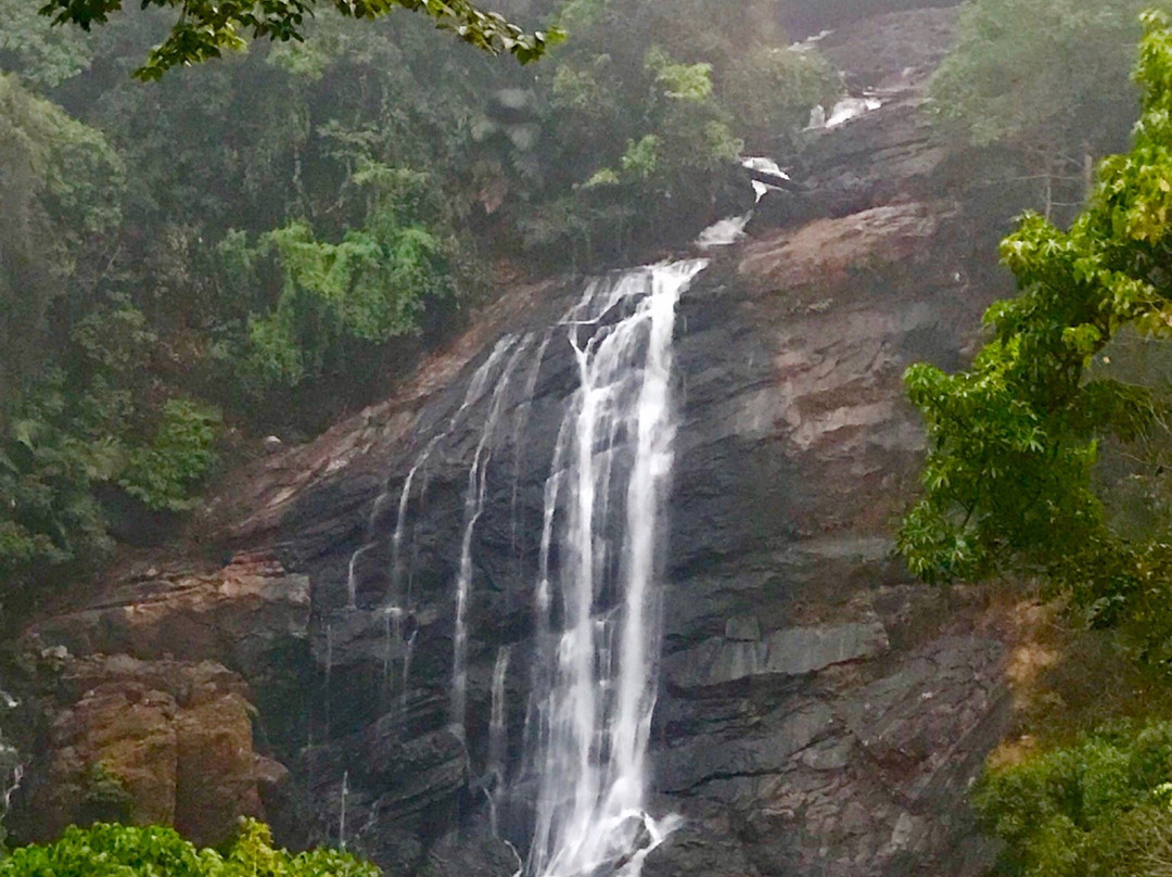 Chinnakanal Waterfalls景点图片