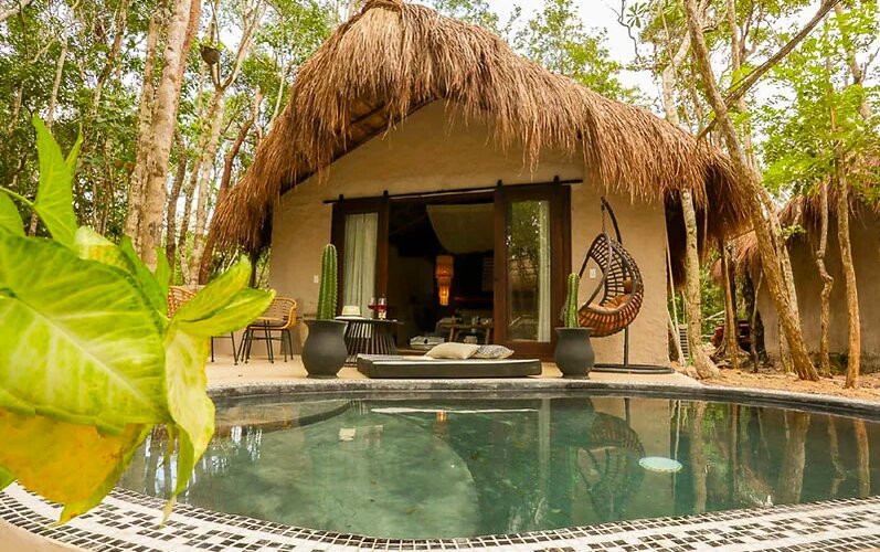 The Yellow Nest主图