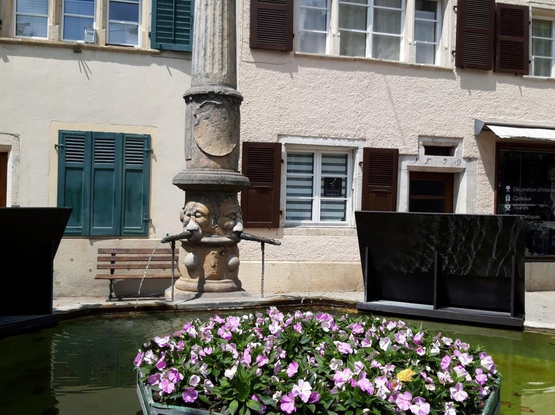 Fontaine de la Boule-德莱蒙必去景点