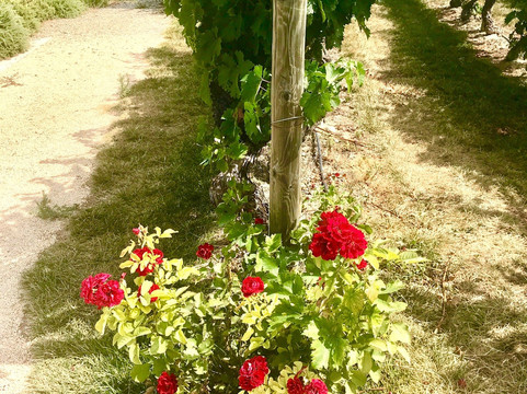 FEEL BASQUE COUNTRY-圣塞瓦斯蒂安必去景点