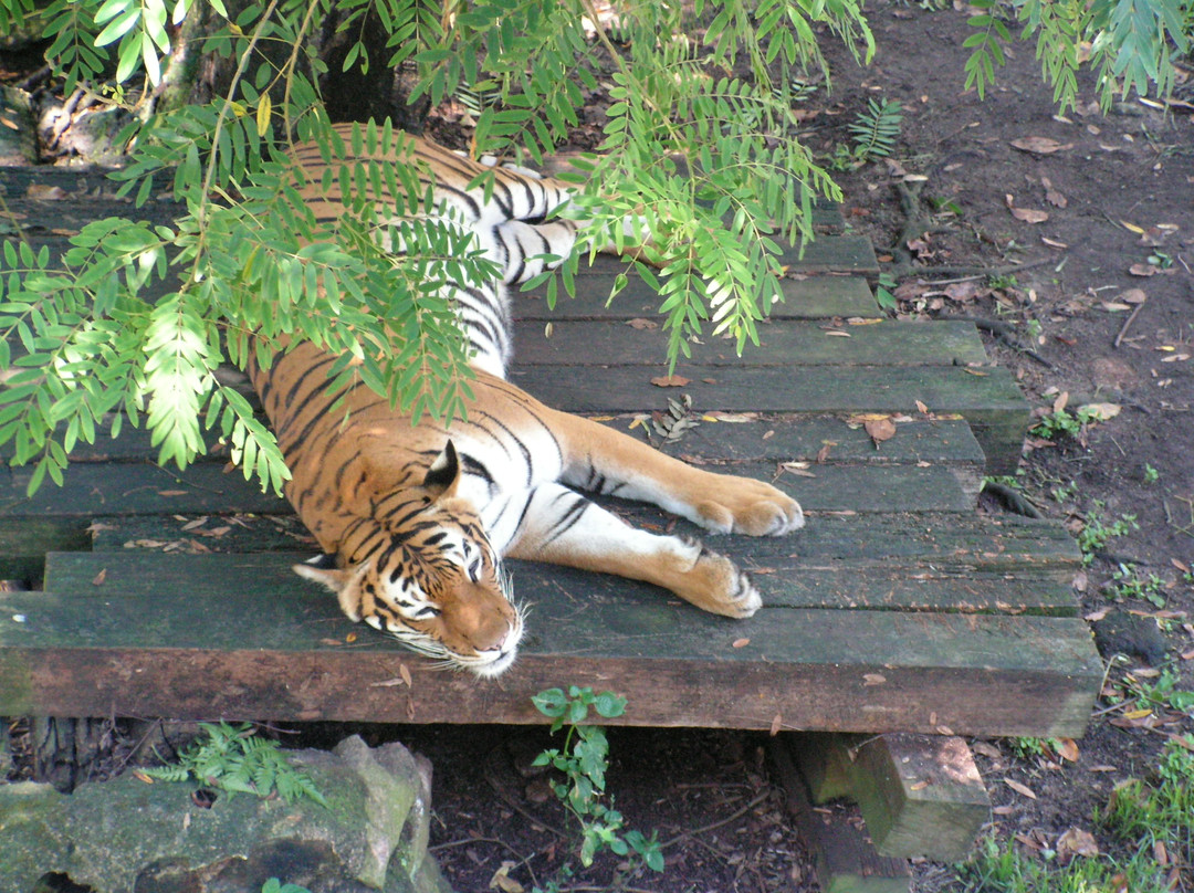 Zoo Johor-新山必去景点