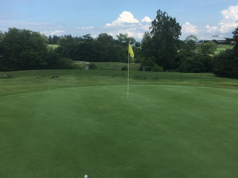 Ingleside Golf Club-斯汤顿必去景点