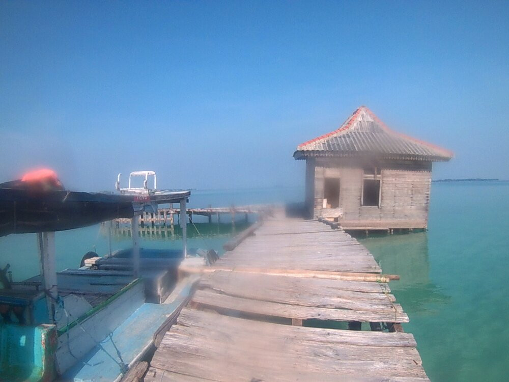 Semak Daun Island景点图片
