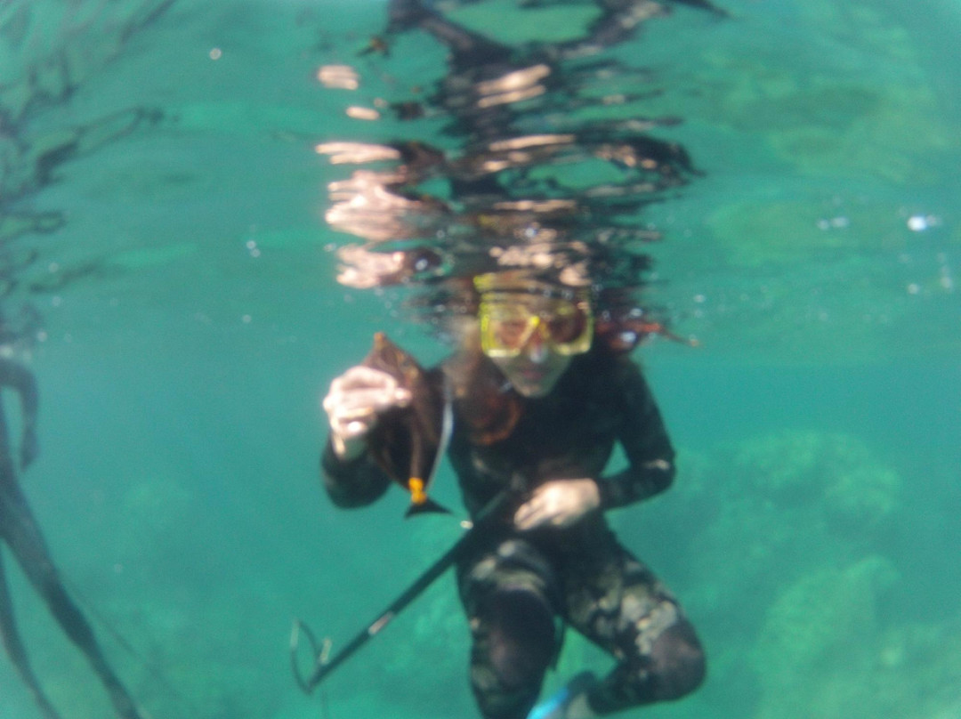 South Maui Spearfishing - Private Excursions景点图片