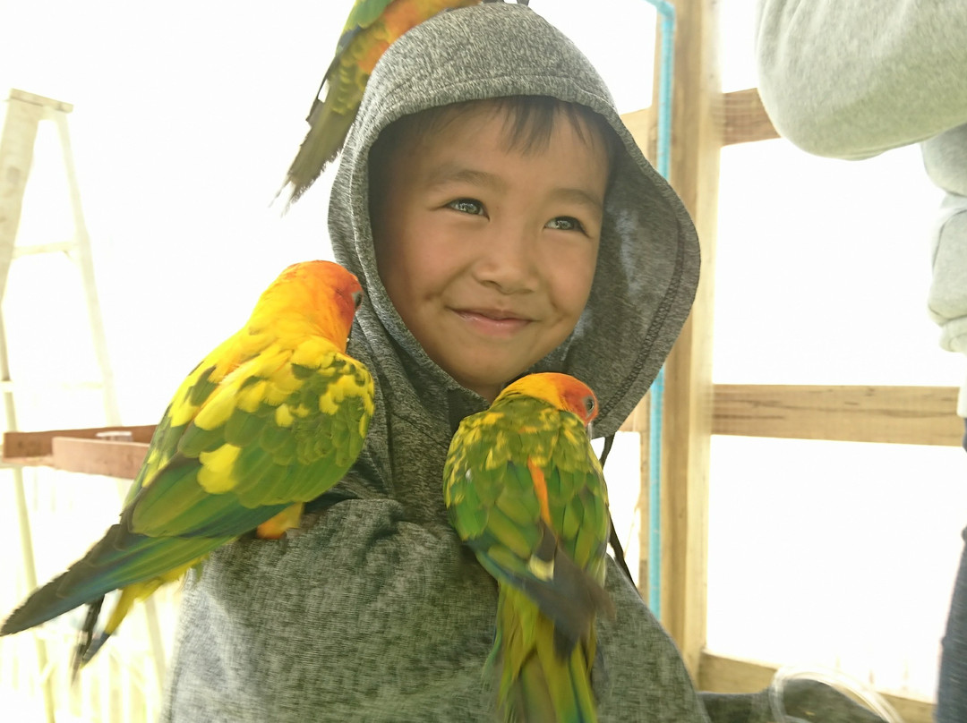 帕克松旅游景点-Birds and flower Cafe in Paksong