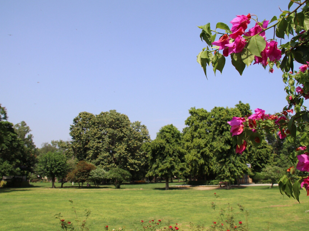 Nehru Rose Garden景点图片
