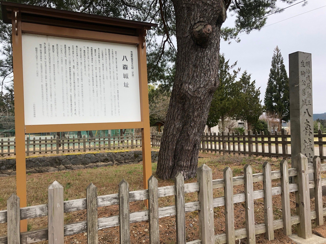 The Site of Hachimori Castle景点图片