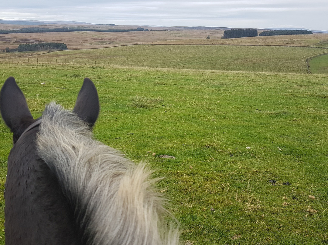 Redesdale Equestrian景点图片