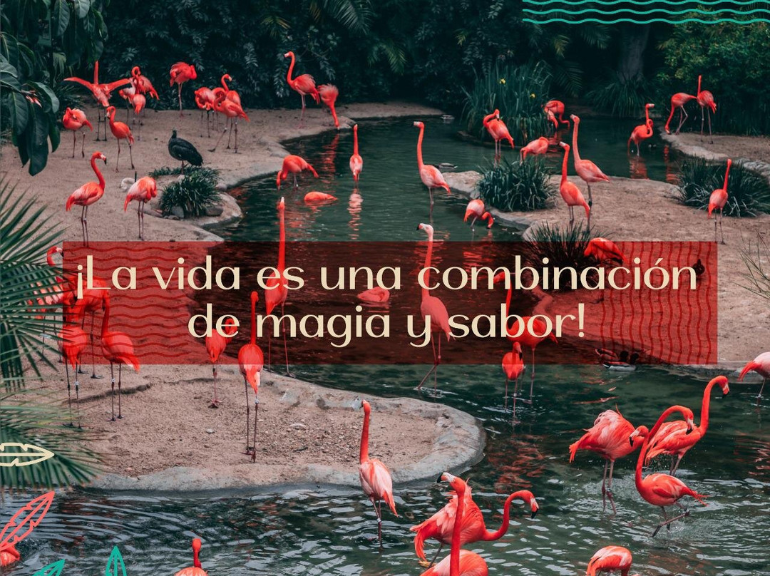 Mesitas del Colegio旅游攻略图片