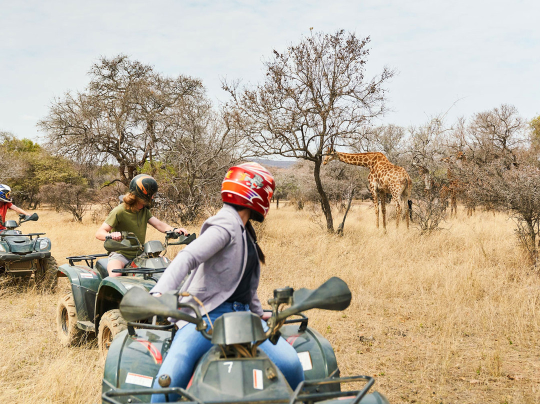 Leap Adventures - Dikhololo-Brits必去景点