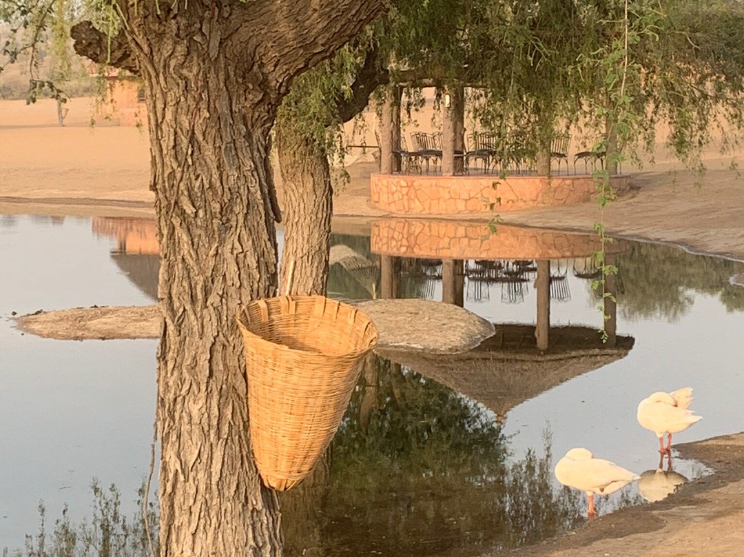 Khimsar Sand Dunes Village主图