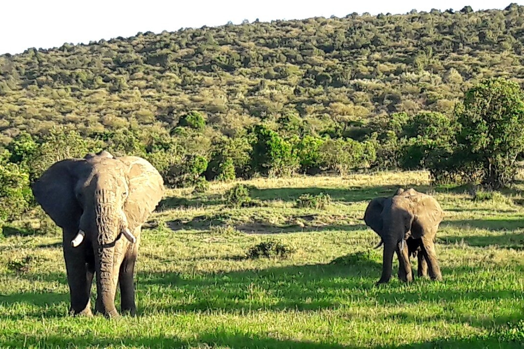 Civvet African Tours and Safaris-蒙巴萨必去景点