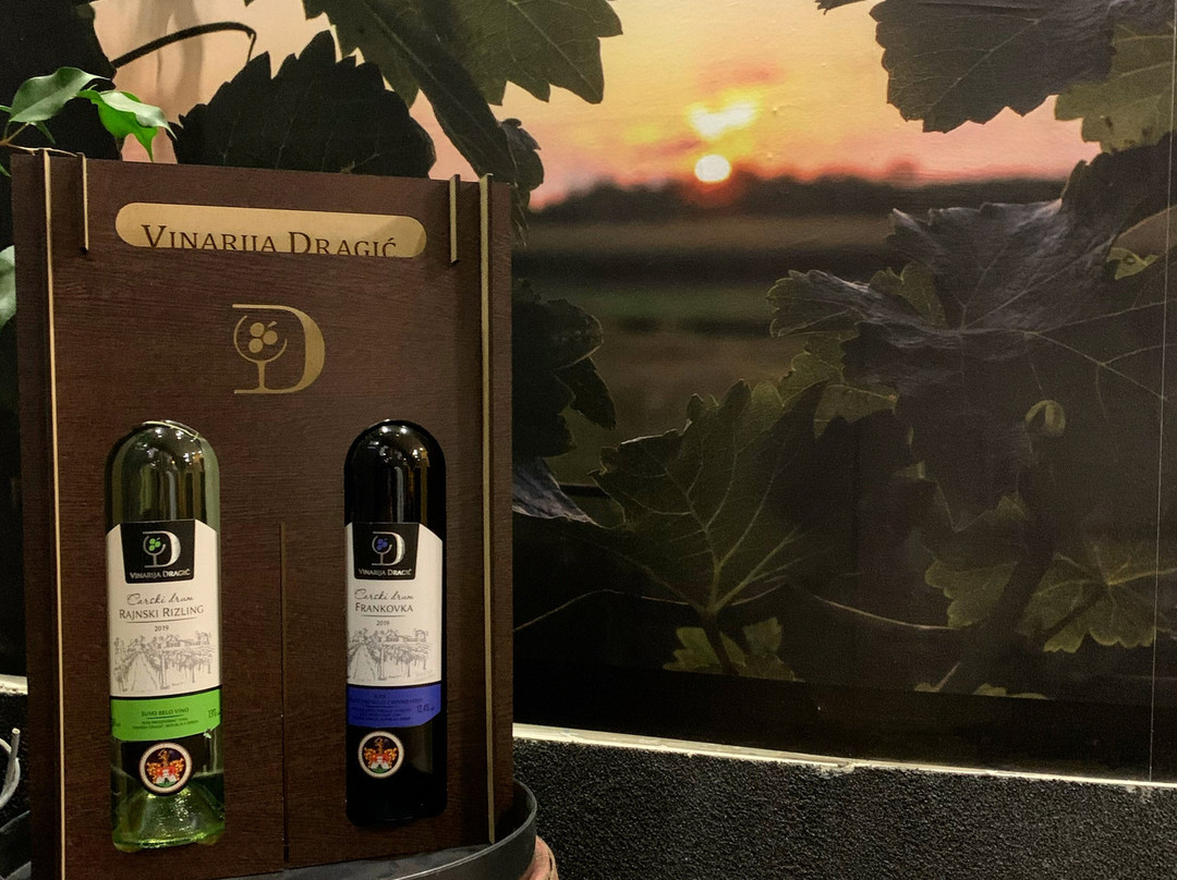 Vinarija Dragić景点图片
