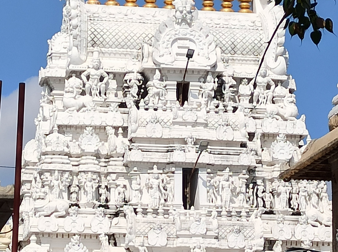 Sri Govindarajaswami Temple景点图片