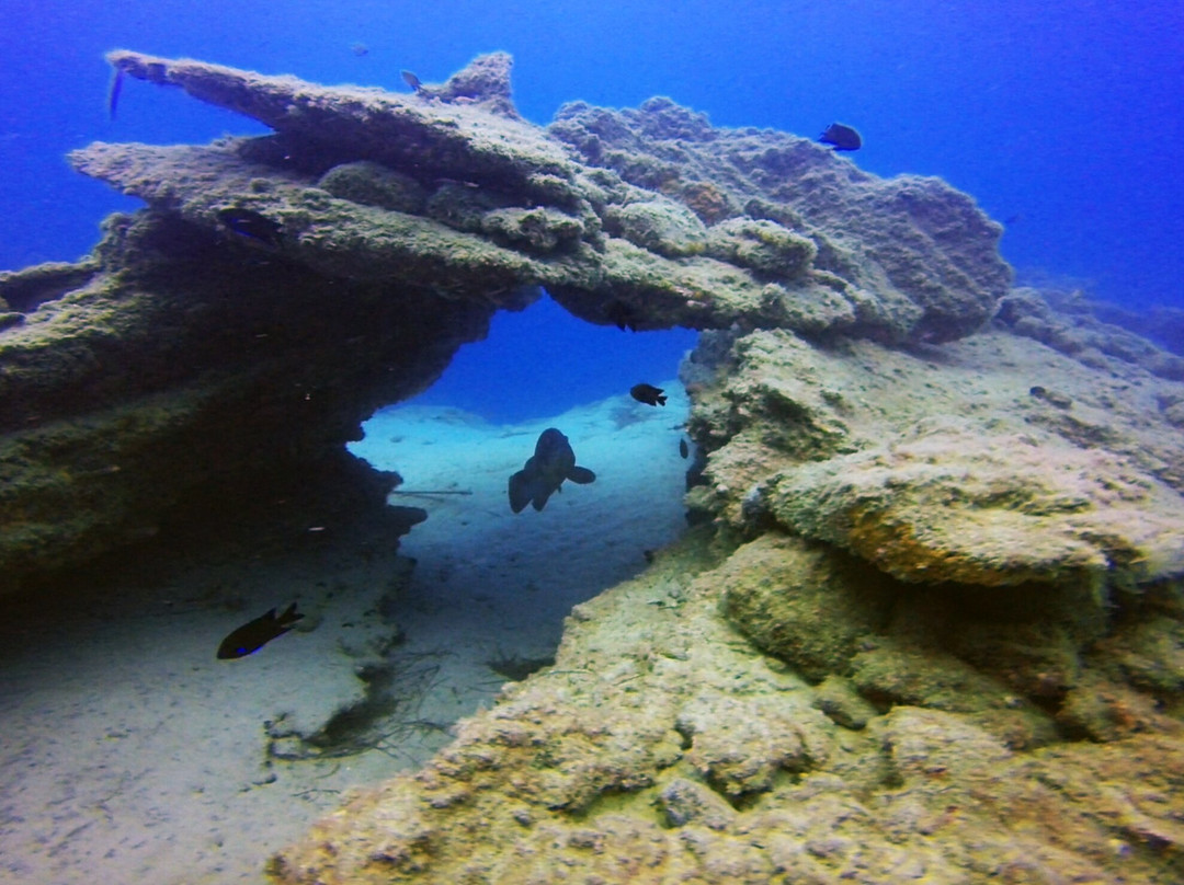 Fuerteventura Diving-Esquinzo必去景点