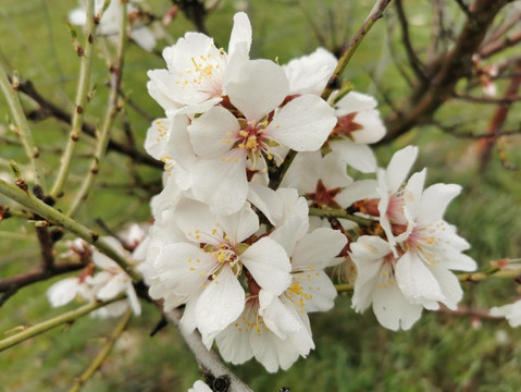 Parquelagos, Torrelodones, Galapagar, La Navata, Circular-Galapagar必去景点