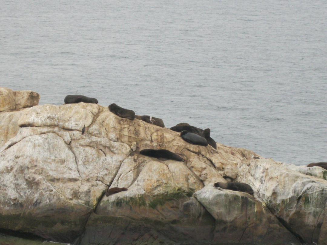 Fuerte Lambert-Coquimbo必去景点