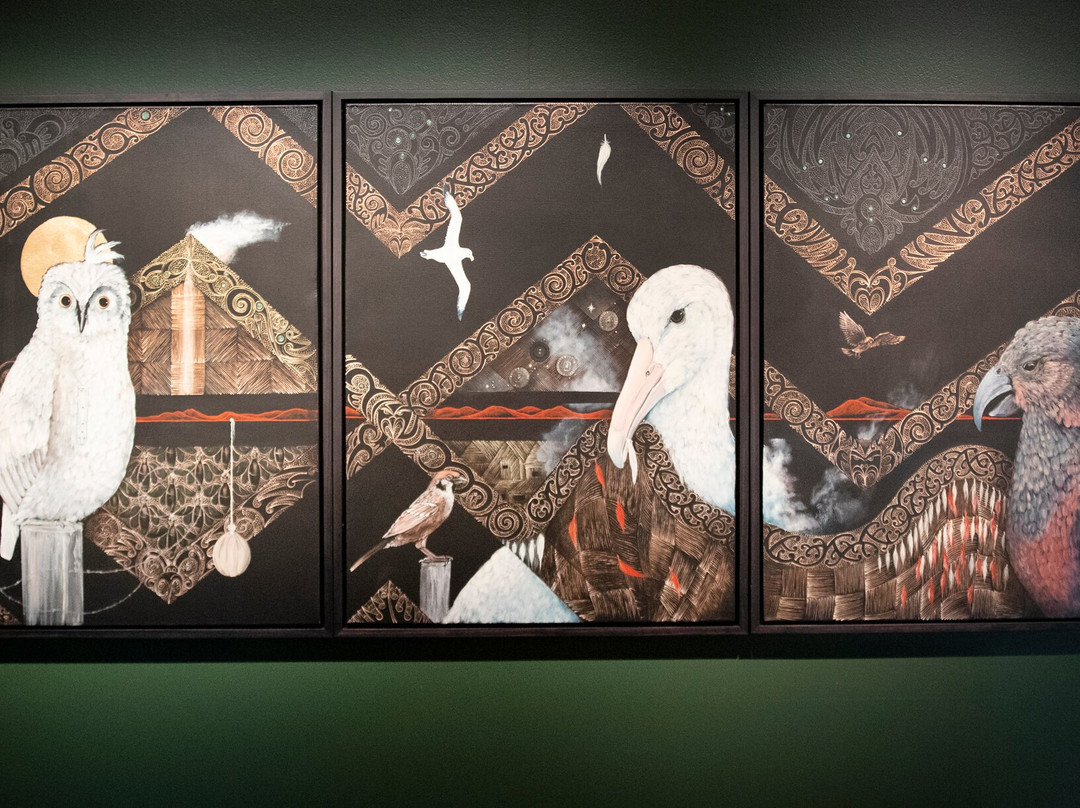 Puke Ariki-新普利默斯必去景点