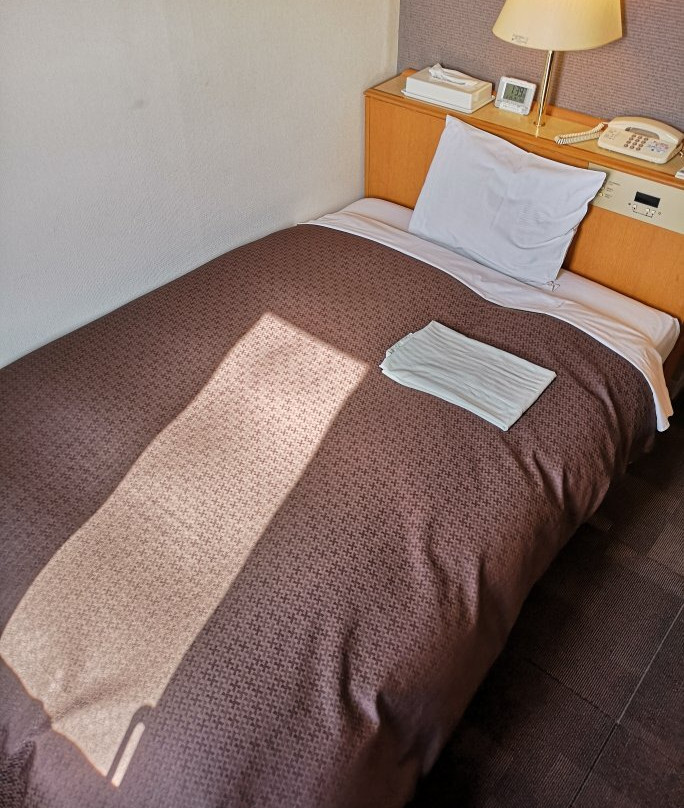 Ina Park Hotel主图