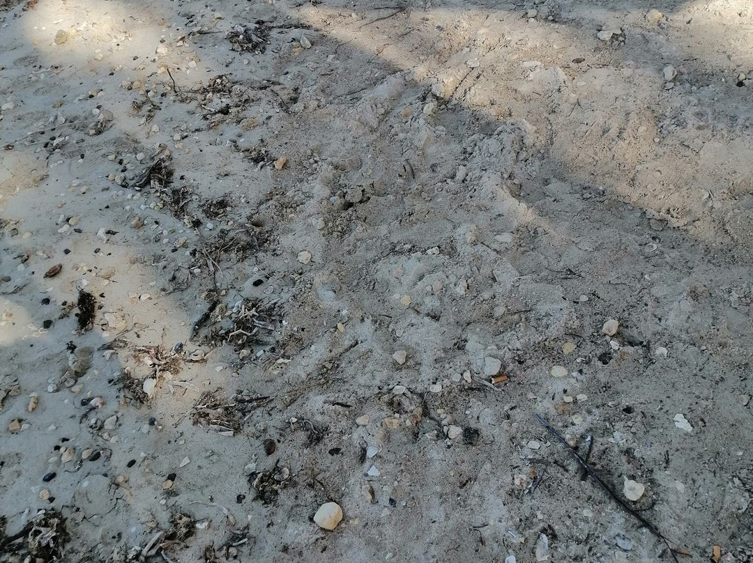 Hotel Fleur d'Epee主图