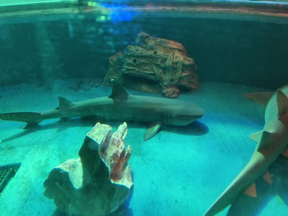 济南动物园-济南市必去景点