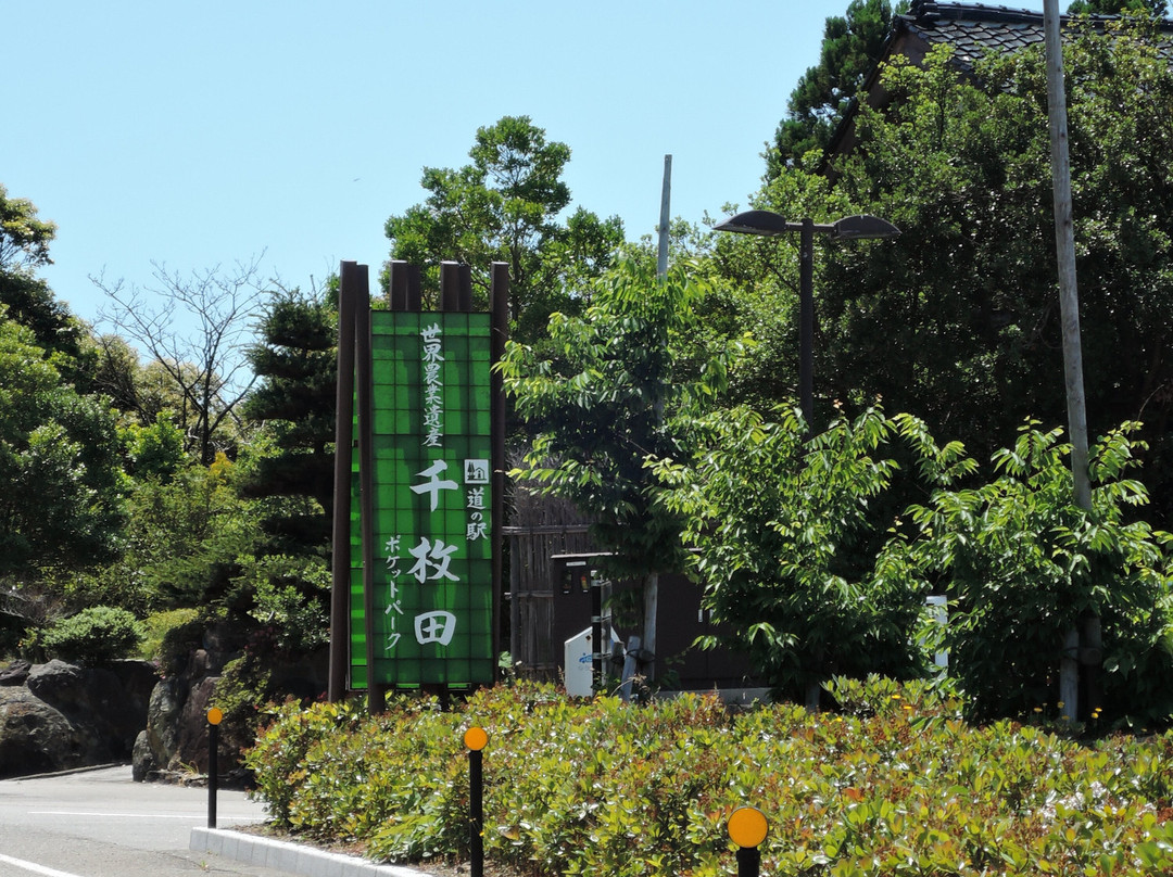 Michi-no-Eki Senmaida Pocket Park景点图片