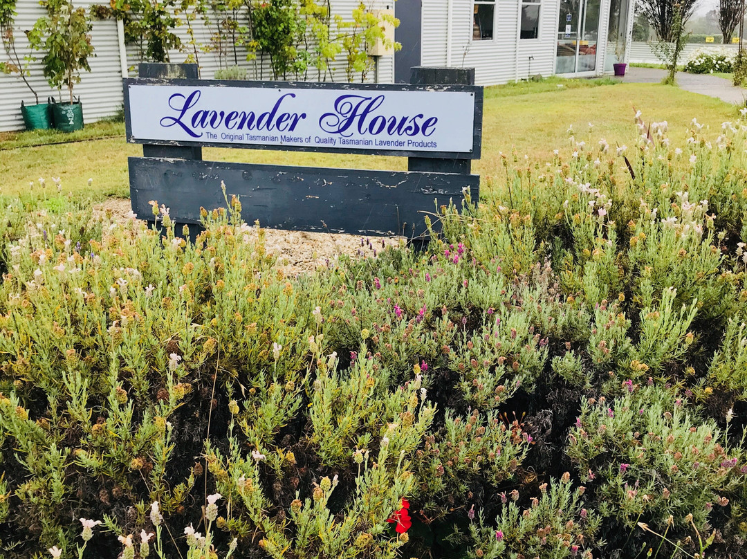 Lavender House Perfumery-Rowella必去景点