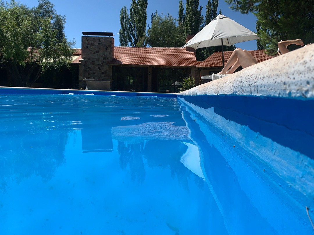 Suter Petit Hotel主图