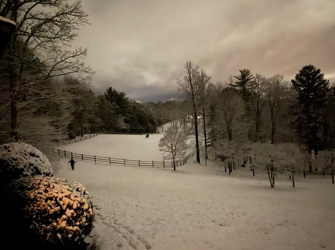 Inn at Wintersun主图