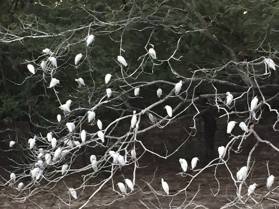 可可海滩酒店主图