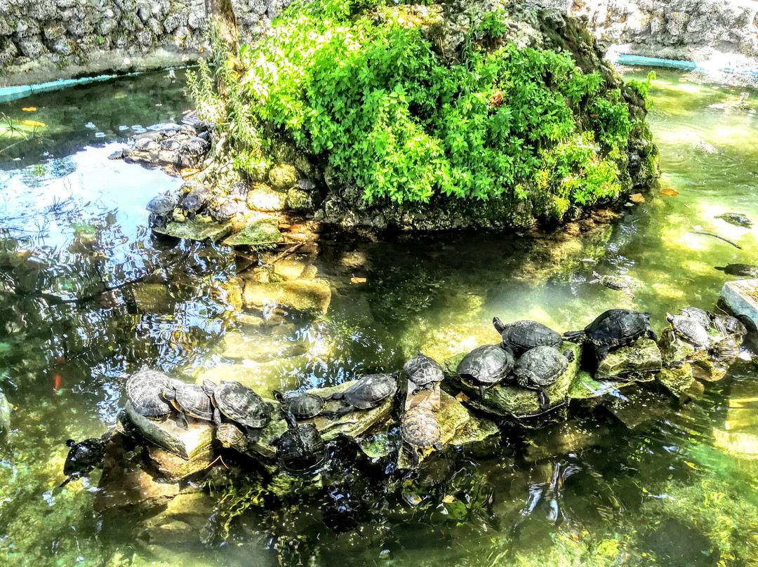 Villa Comunale景点图片