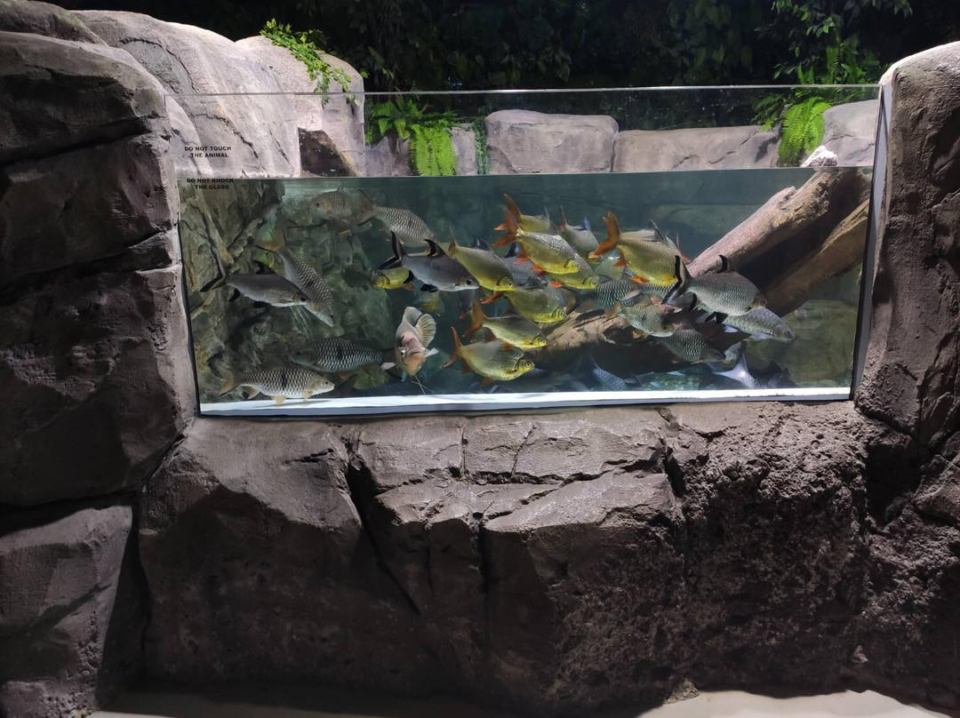 Jakarta Aquarium & Safari景点图片