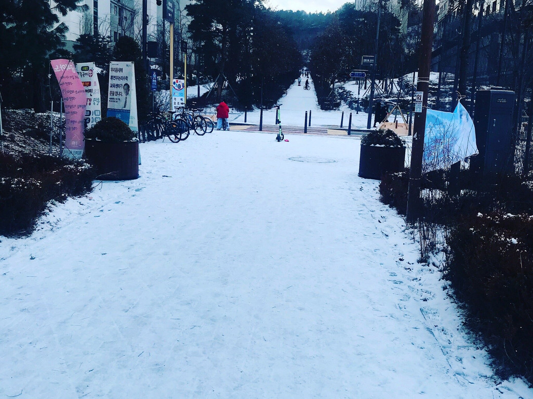 Sejong Lake Park-世宗市必去景点