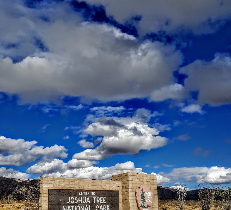 Cottonwood Visitor Center-约书亚树国家公园必去景点