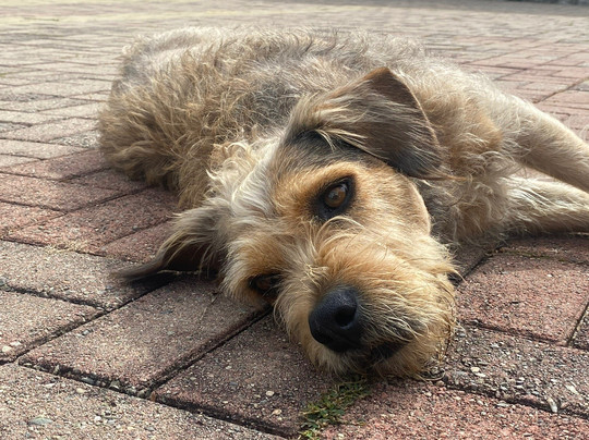 Discovering Medellin-麦德林必去景点