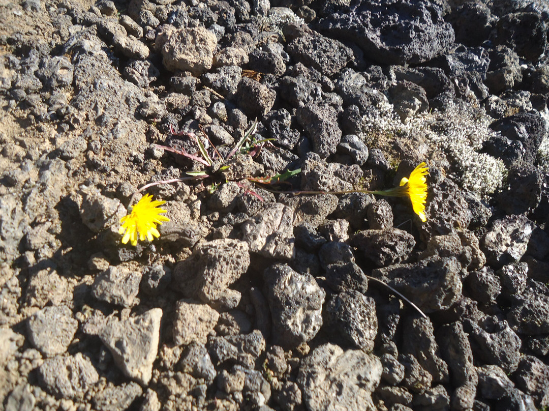 Krafla Lava Fields-米湖必去景点