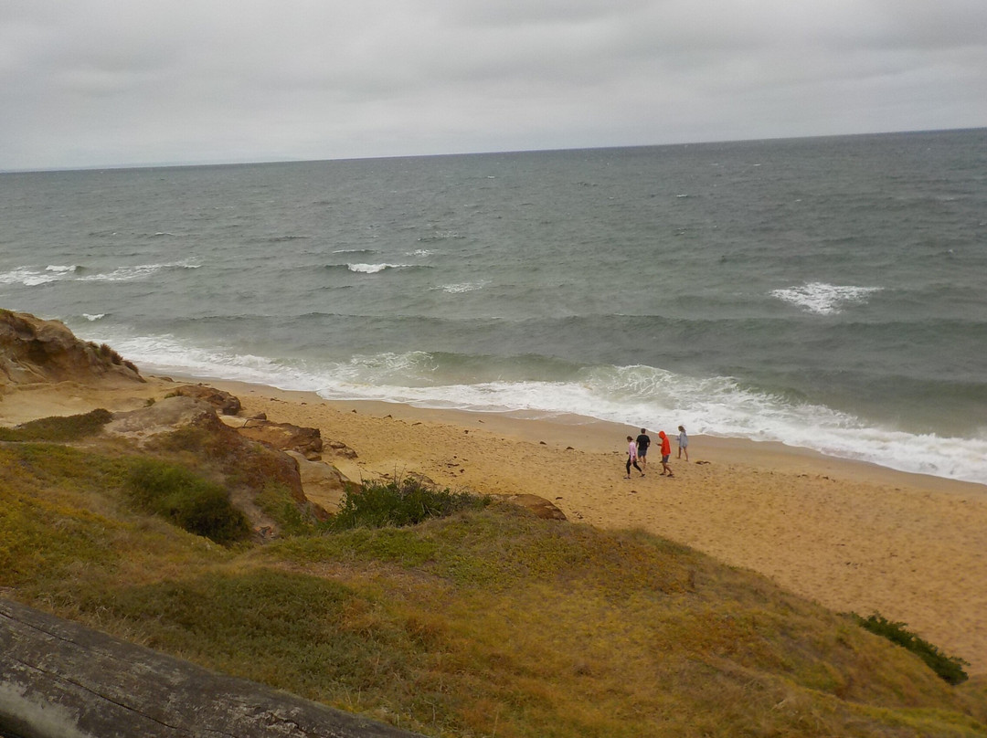 Sandringham Beach-Sandringham必去景点