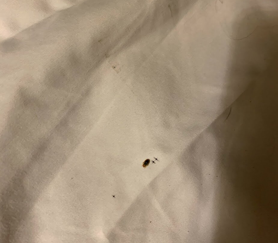 Holiday Inn Express Fallon by IHG主图