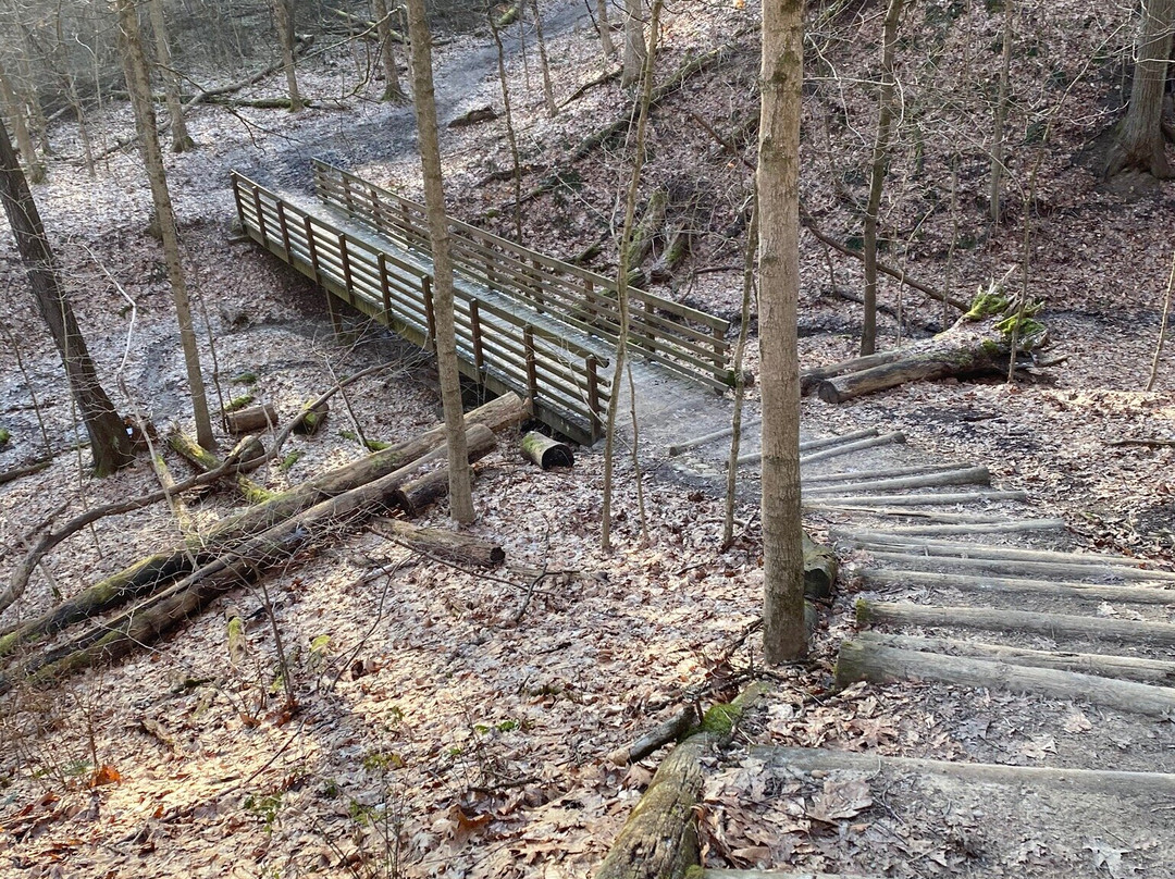 Salt Run Trail-Peninsula必去景点