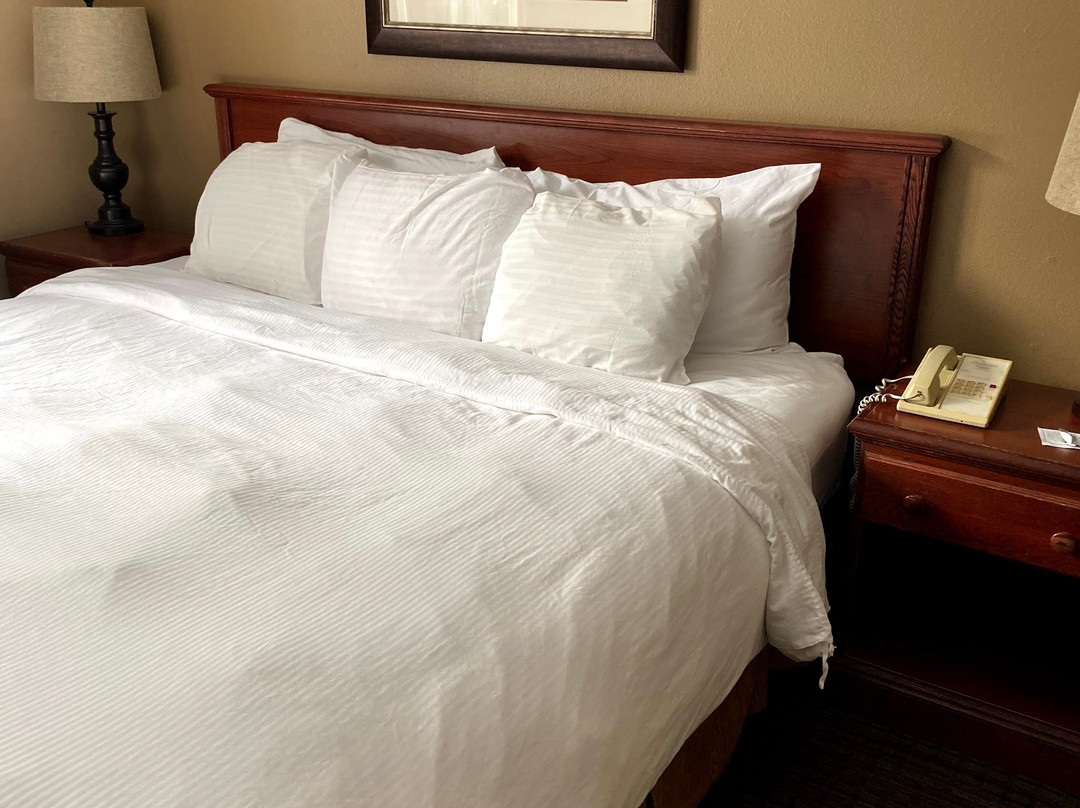 Country Inn River Falls主图