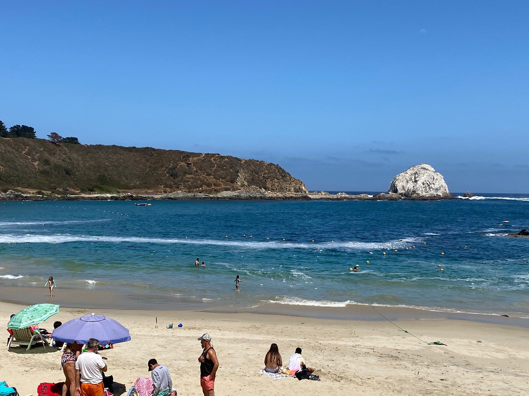 Playa El Canelillo景点图片