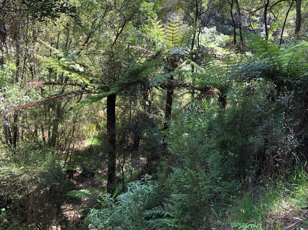 Phantom Falls-洛恩必去景点